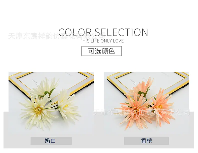详情_02.jpg