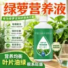 Solução nutritiva e fertilizante especiais para hera verde, adequados para plantas hidropônicas e heras verdes em vasos, fertilizante líquido de grau comercial para flores, uso doméstico, previne folhas amareladas