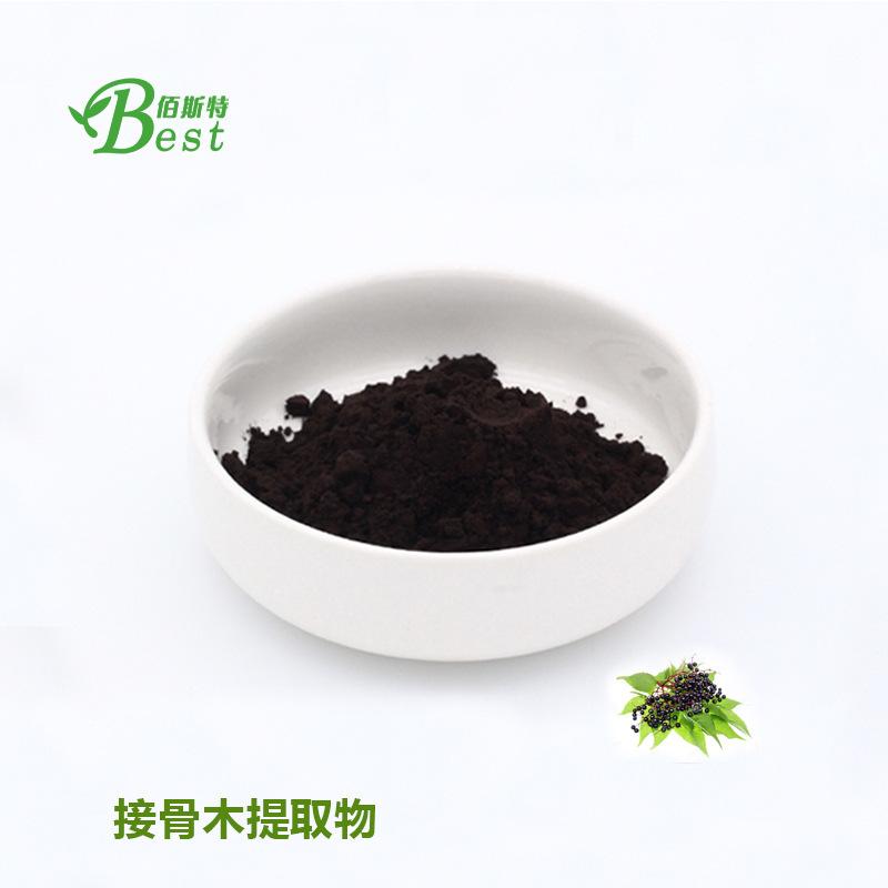 接骨木