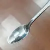 Colher de Aço Inoxidável Padrão Cobra Hotel Doméstico Multiuso Mini Fofa Pequena Colher Colher para Mexer Sobremesa Colher para Sorvete Colher para Café
