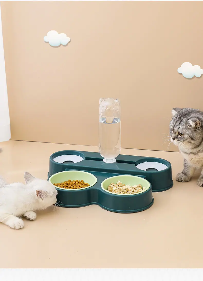 猫碗3_20.jpg