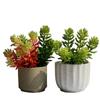 Simulação de planta suculenta simulação cabeça de flor planta parede acessórios de flores falsas suculentas decoração de flores de plástico planta em vaso de plantas
