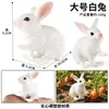 Juguete de Mano para Niños Modelo de Animal Salvaje de Simulación Sólida Cognitiva Pollo Picoteando Arroz Gallo Amarillo Gallina Pollito Fock