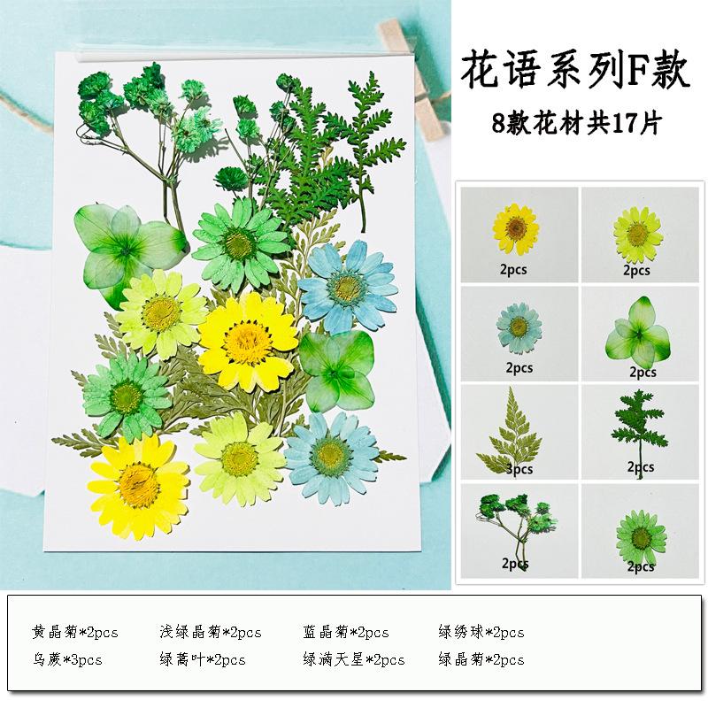未标题-5副本
