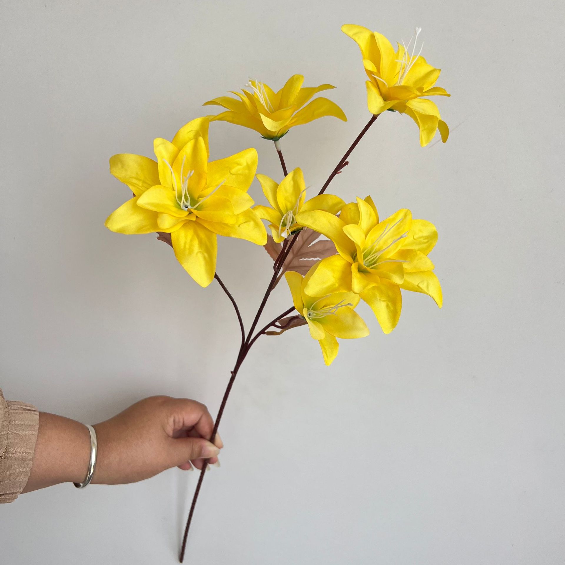 01ac74be5dd0a1bffd8f464ec78392