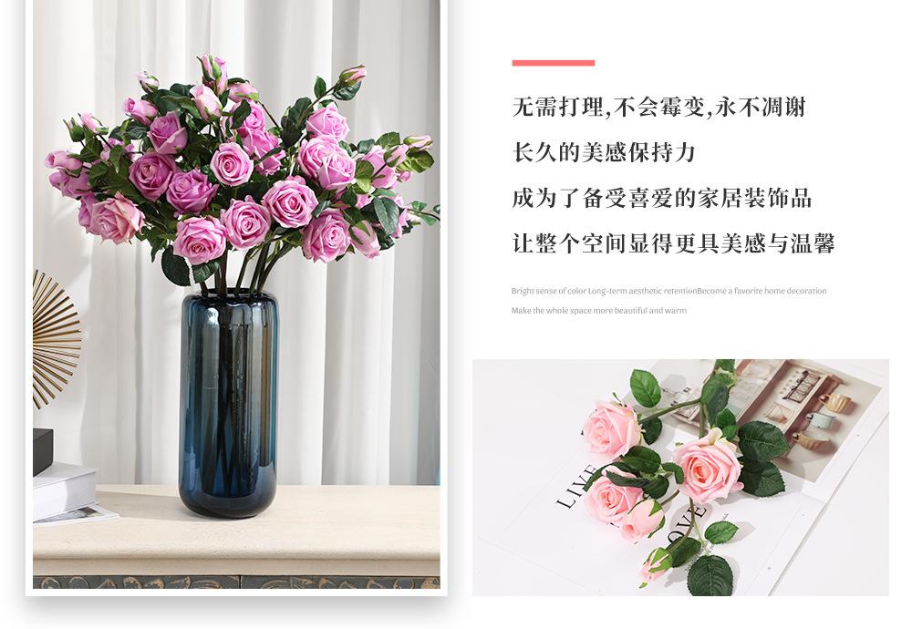 76.5头手感小多尔玫_07.jpg