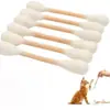 Juguete para Gatos Bola de Menta Resistente a Mordidas Ratón Mordedor Palo de Dentición Aliviar el Aburrimiento Set de Juguetes para Gatos Suministros de Juguetes para Mascotas