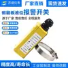 Medidor de Nível de Líquido Magnético com Tampa Articulada, Interruptor de Alarme, Interruptor de Limite de Fixação Magnética, Sensor à Prova de Explosão, Controle de Nível de Líquido, Transmissor de Sinal XQ