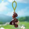 Montaña y Campo Qinghe Cáscara de Fruta Natural Sonajero Colgante Hecho a Mano DIY Planta Semilla de Fruta Carrillón de Viento Llavero Colgante para Bolso