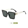 Gafas de Sol Cuadradas Grandes de Marco Europeo y Americano 2025 para Mujeres con Rostros Grandes, Aspecto Adelgazante y Gafas de Alta Gama, Gafas de Sol de Moda para Hombres