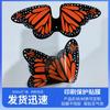 Película Transparente Mariposa Biónica Transfronteriza 3.5 Seda Opp Transparente Impresión de Alta Calidad Película Protectora Impresión HD No se Desvanece