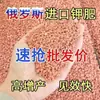 Fertilizante de Potasio Importado Sulfato de Potasio Ruso Fertilizante Foliar de Potasio Rojo Protección de Flores Promoción de Frutas Verduras Frutas Fertilizante Soluble en Agua Fertilizante de Potasio Ajuste de Agua