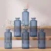 Bestseller transfronterizo: Juego de jarrones de cristal transparentes con relieve estilo europeo, multicolor, jarrones decorativos de alta estética al por mayor