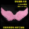 Asas em Forma de Pássaro para Crianças e Adultos Asas de Pena de Anjo Adereços para Performance de Palco Acessórios de Asas para Performance de Festa
