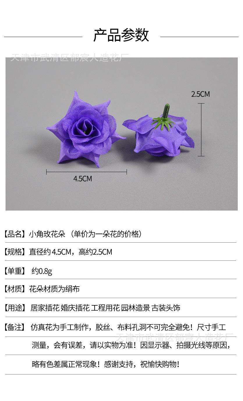 详情_01.jpg
