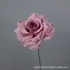 Flor Artificial Rosa de Ferro com Haste Única Materiais de Decoração de Casamento Loja de Atacado Loja de Shopping Paisagismo Parede de Flores Flores Artificiais