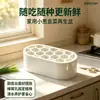 Kit hidropónico transfronterizo más vendido para cultivar plántulas de cebolla, no requiere tierra, no requiere habilidades, cosecha rápida, adecuado para cultivo casero en balcón y alféizar de ventana