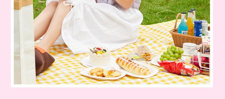 野餐垫-13