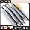 Pescado de Mar Fresco y Congelado de Grado Sashimi, de Tamaño Grande, Capturado en Aguas Profundas, Sashimi Estilo Japonés, Venta al por Mayor y Distribución Comercial