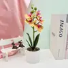 Nuevo Piedra Yuhua Phalaenopsis de 5 Flores Bonsái Decoración de Interiores Flor Artificial en Maceta Diseño de Hotel Restaurante Plantas Verdes Simuladas