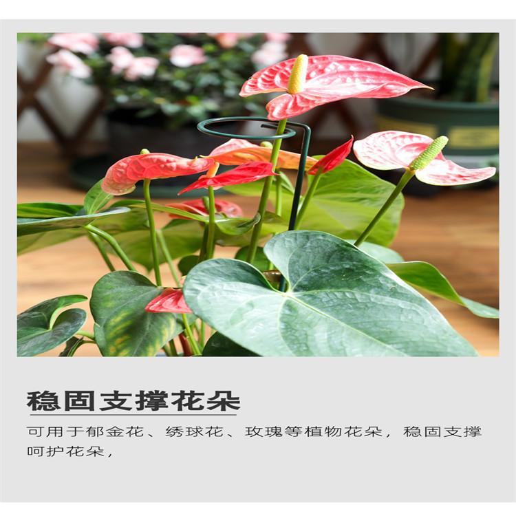 O1CN01MIZ8g11GnWnbjJUcF_!!2273