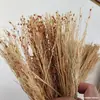 Escova de Limpeza para Panela de Sorgo Tradicional Antiga Fibra Dourada de Seda Escova para Panela