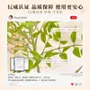 Planta Nandina Aterrizaje Planta en Maceta Interior Grande Biónica Verde Adornos Sala de Estar Lujo Ligero Flor Decorativa Árbol Falso