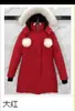 Pele de Raposa 2026 Inverno Edição Dourada Tesoura Jaqueta de Plumas Grande Modelo 01 Feminina Longa Casaco Canadense Jaqueta Parka Curta