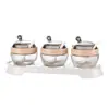 Conjunto de 3 potes de vidro para condimentos com base plástica e colheres