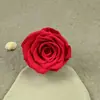 Flor Eterna Grau A 5- 6cm Rosa Que Não Murcha Flor para DIY Material de Flor Loja de Flores Buquê Flor Seca Material para Instagram