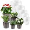 Fornecimento Transfronteiriço de Vasos de Flores de Plástico Transparente, Vasos para Mudas, Vasos de Flores de Plástico, Vasos para Mudas, Vasos de Flores Transparentes