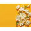 Set de Sobres para Tarjetas de Agradecimiento Transfronterizos de 4x6 pulgadas Set de Sobres para Tarjetas de Felicitación de Papel Perlado