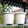 Maceta Antigua Romana Personalizada de Resina Plástica Imitación Piedra Flor Antigua Estilo Europeo Maceta para Plantar Petunia Rosa