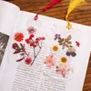 Marcador de Flores Secas flor hecho a mano material diy botella de los deseos hojas transparentes infantiles flores y plantas espécimen sello de plástico para mascotas