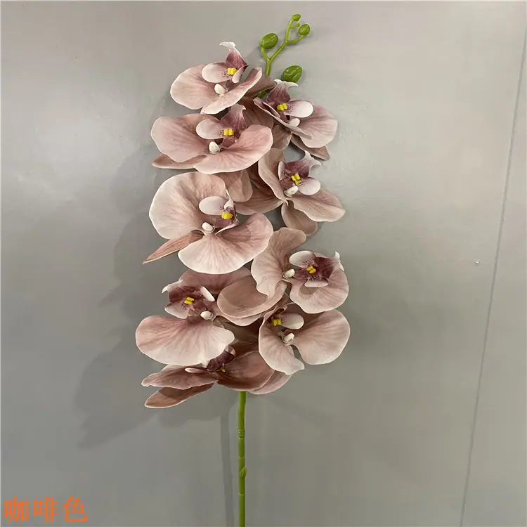 微信图片_202010271655285.jpg