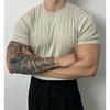 Verão Fino Padrão Cânhamo Gola Redonda Tricô Manga Curta Masculina Solta Moderna Versátil Camiseta Stretch com Design de Nicho
