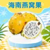 Nido de Pájaro de Hainan Fruta al por Mayor Dropshipping 1/2/3/ 2.5kg Piel Amarilla Dulce Delicada Caja Completa Caja de Regalo Fruta Fresca