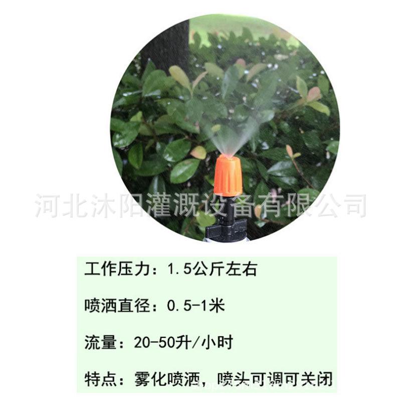 未标题-2