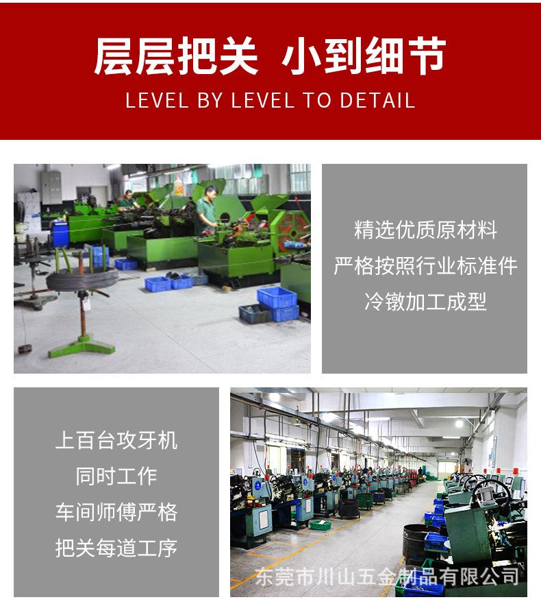 小头竖拉母_11.jpg