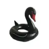 Suministro Directo de Fábrica Flotador Inflable de PVC Cisne Negro, Flotador de Axila de Burbuja Inflable, Logo Impreso, Tamaño
