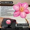 Colorante para flores, absorbente de color para rosas, solución absorbente de color, tinte, colorante para ramos y floristerías