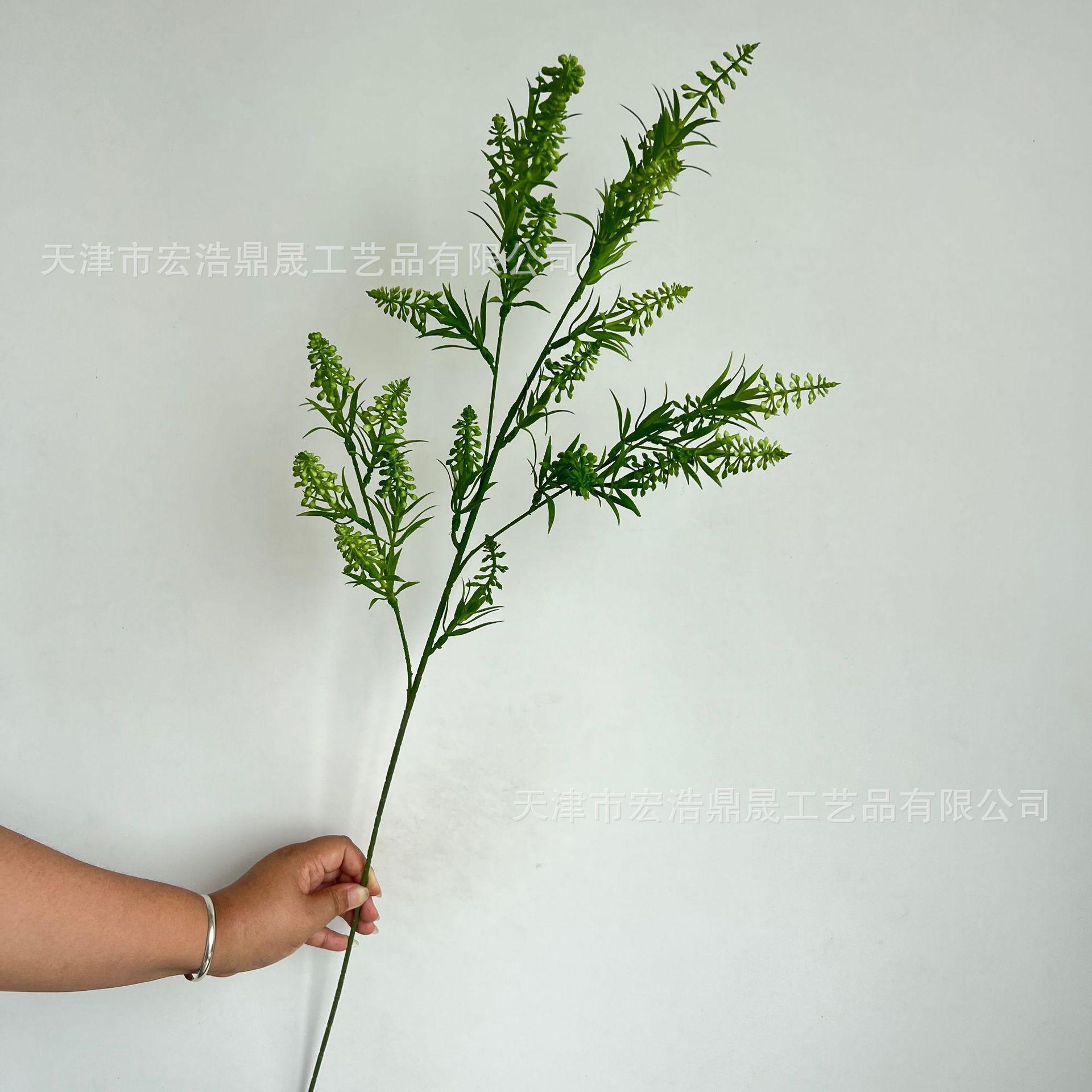 8cd667aa7062c0775570ad637d5902