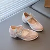 Zapatos de Princesa de Cuero para Niñas Primavera y Otoño Nuevos Zapatos Mary Jane Lazo Suela Suave Zapatos de una Sola Capa Zapatos de Desempeño para Niños Medianos y Grandes