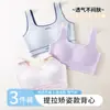 Ropa interior para el desarrollo de niñas, Estudiantes de secundaria, Estudiantes de preparatoria, Ropa interior deportiva, Sujetador tipo chaleco sin costuras para adolescentes