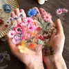Pegatinas transparentes de PET para journaling, materiales de plantas y flores para decoración de escenas DIY, pegatinas autoadhesivas para journaling infantil