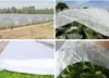 Muda de Arroz Não Tecido Branco Agrícola Muda Gramado Cobertura Isolamento Transparente Filme Respirável