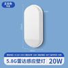 Lámpara de pared LED inteligente con inducción de cuerpo humano impermeable para exteriores, radar, pasillo, escalera, pasillo, lámpara de inducción con control acústico-óptico