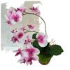 Los fabricantes venden película de tres puntas Mini pequeña flor artificial de phalaenopsis decoración artificial de boda película flor falsa