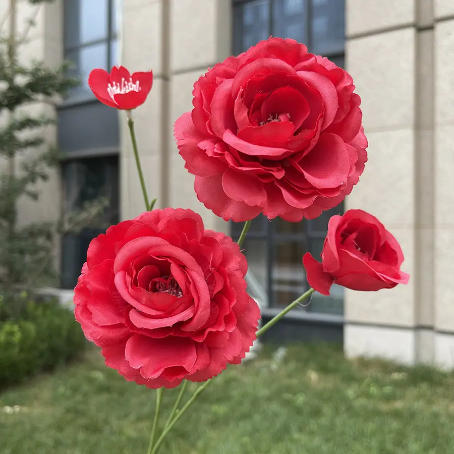 4头小茶花-xwmwpx-红色.JPG