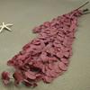 Flor mágica Flor eterna Folhas de eucalipto 100g / pacote Dia dos Namorados diy Material Vaso doméstico Material artesanal